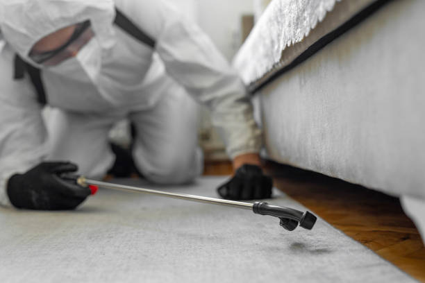 Professional Pest Control technician working in Ohio County County, KY